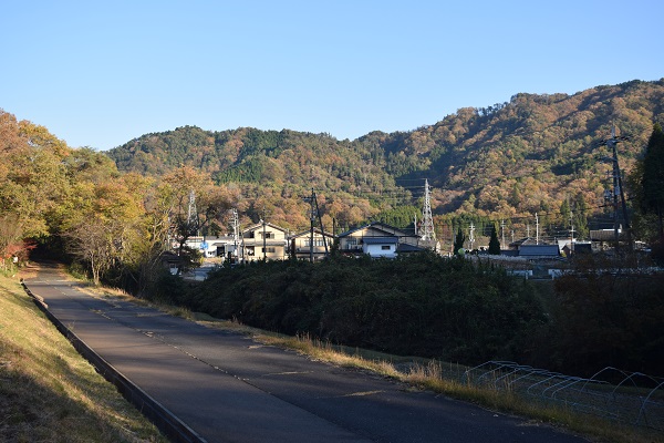 20151106_kouyou_20141119_03DSC_0734.JPG