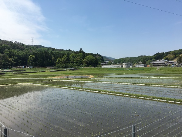 我 田 引水