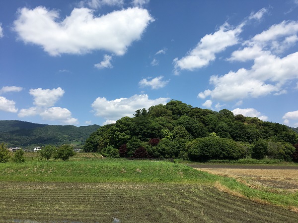 20180601_sakurai_05_IMG_5802.JPG