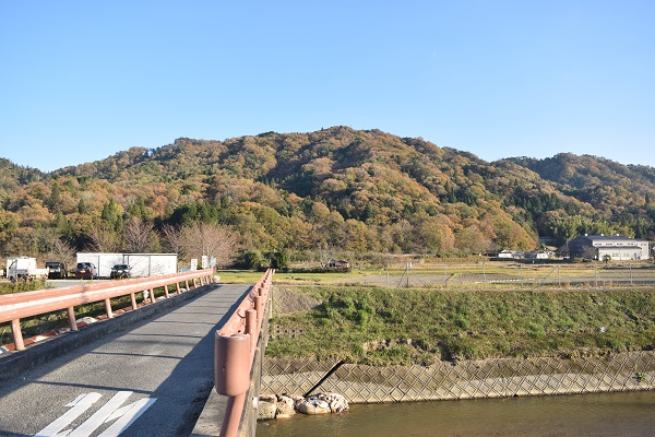 kouyou_20141119_02DSC_0732.JPG