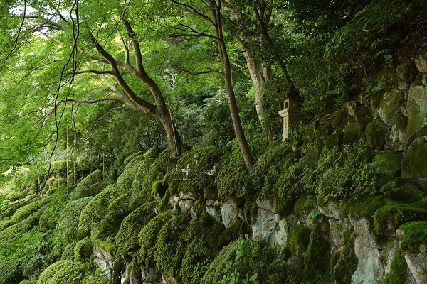 20140908當麻寺西南院お庭②DSC_0269.JPG