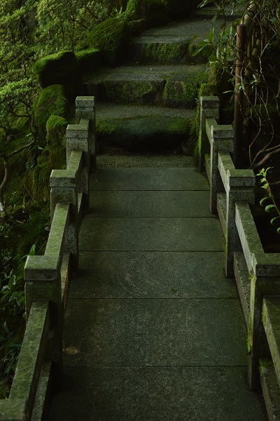 20140908當麻寺水琴窟への道①DSC_0270.JPG